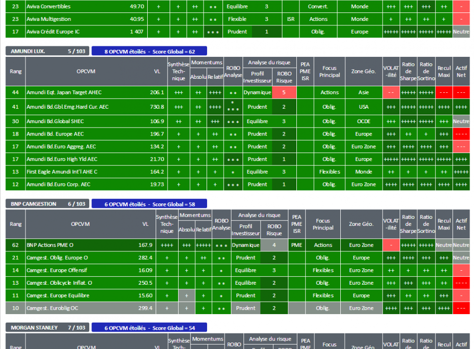 SICAV OPCVM FCP ALLOCATION STRATEGIE ACTIONS OPC